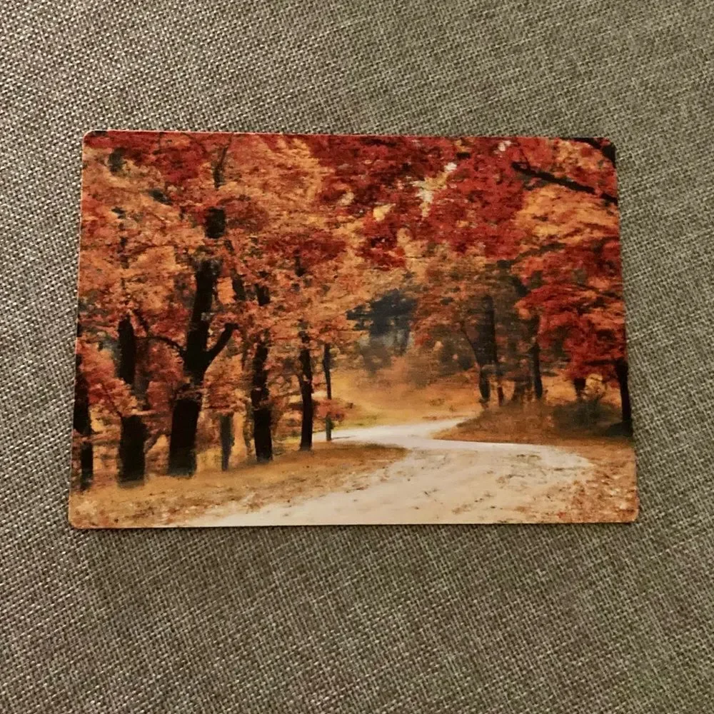 COPY - Autumn Forest Magnet - Picture 3 of 4